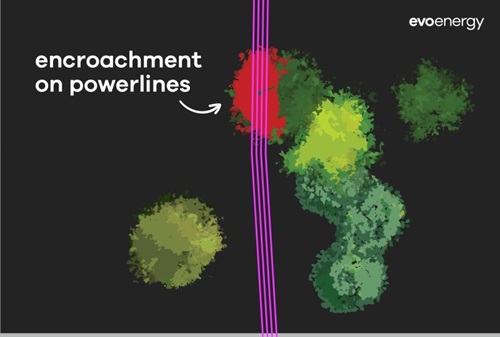 An example of the LiDAR images the aircraft takes.