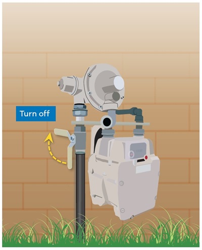 Natural gas meter valve